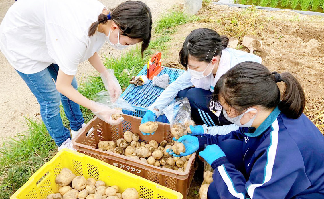 農業など様々な活動もしています